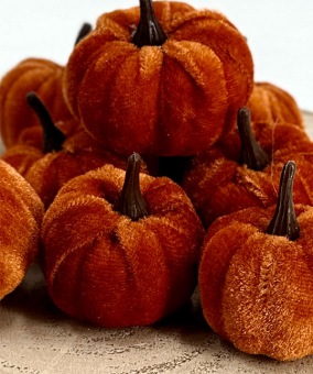 Pompoenen Fluweel 8 st.