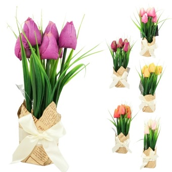 Tulpen In Cadeauverpakking Wit