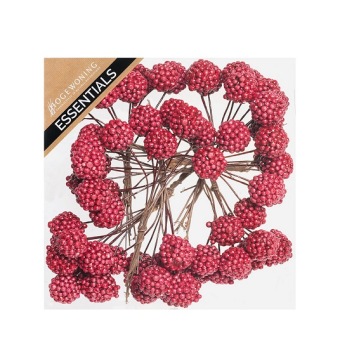 Braambes Rood 8 x 8 st.