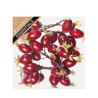 Rozenbottel Donker Rood