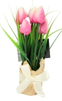 Tulpen In Cadeauverpakking Roze