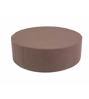 OASIS® Bio Taart Rond (Cake Dummy) – Ø 22 cm × 7 cm – 1 stuk