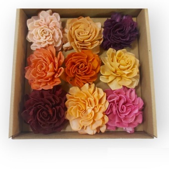 Sola Flower Mix Box 9 st.