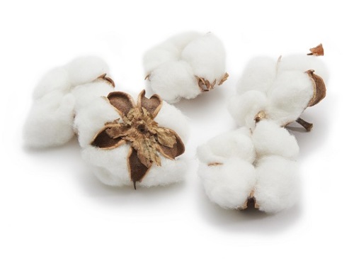 Katoenproppen 12 st.