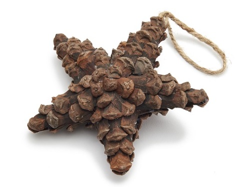 Hanger Ster 'Forest' 13 cm