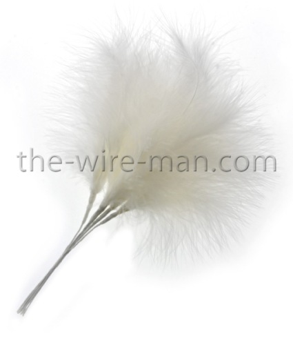 Veren Op Draad 25 cm 6 st Champagne