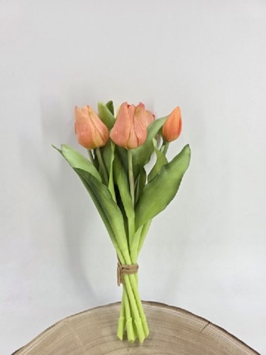 Tulpenbundel 30 cm Zalm