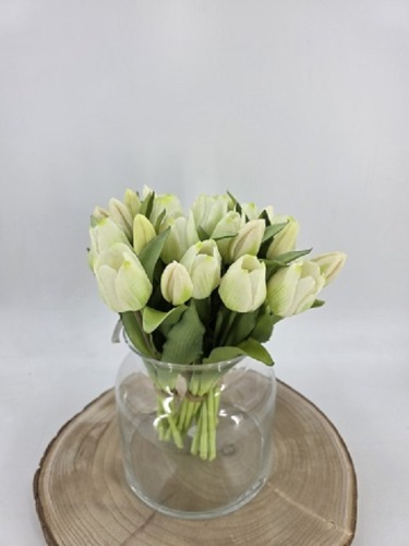 Tulpenbundel 30 cm Wit/Groen