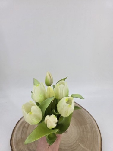 Tulpenbundel 30 cm Wit/Groen