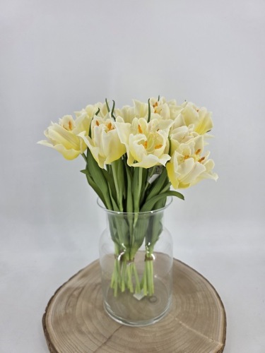 Tulpenbundel 40 cm Crème
