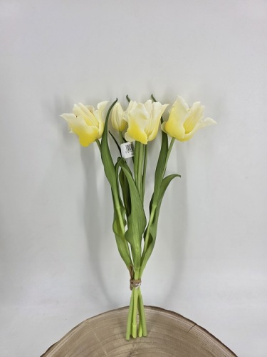 Tulpenbundel 40 cm Crème