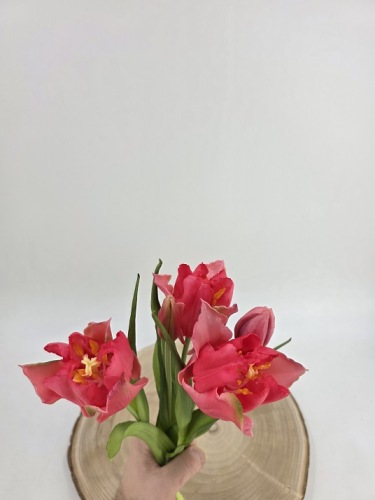Tulpenbundel 40 cm Kers