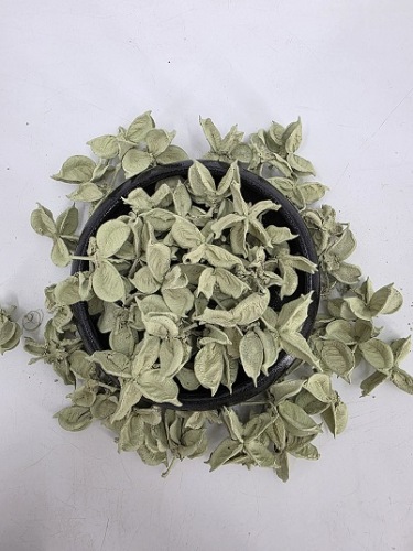 Cotton Pods 150 gr. Pastel Groen