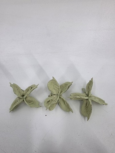 Cotton Pods 150 gr. Pastel Groen