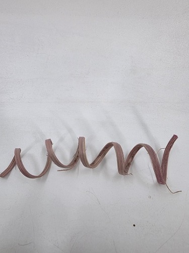 Cane Spring 10 st. Roze