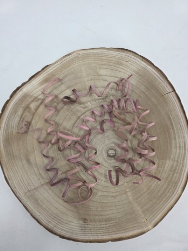 Cane Spring 10 st. Roze