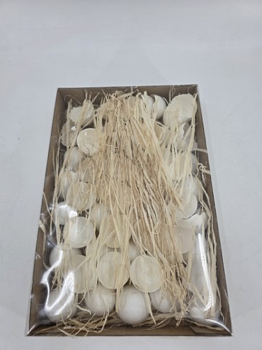 Kippenei Schalen Wit