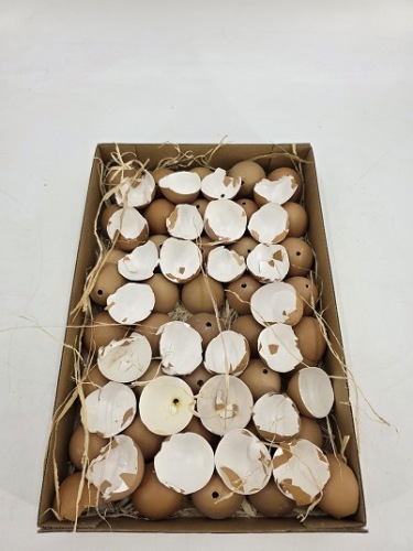 Kippenei Schalen Bruin