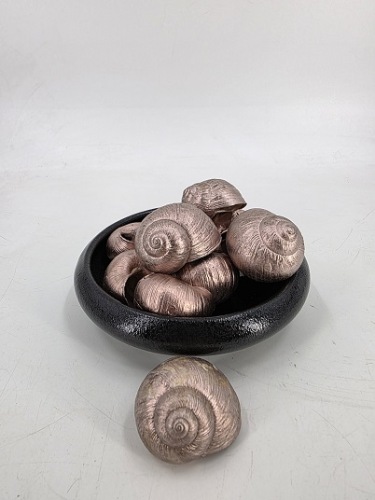 Landslakken Champagne 5 cm 12 st. 