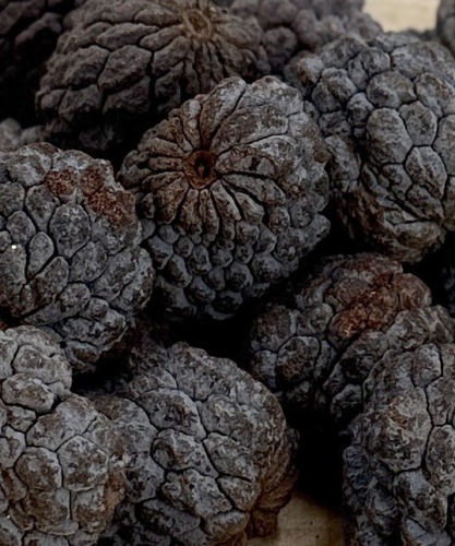 Ata Fruit Naturel 300 gr.