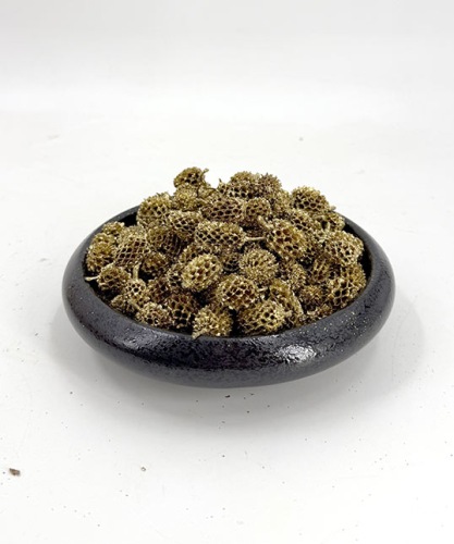 Casuarina 500 gr. Goud