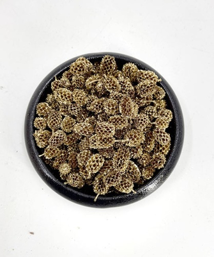 Casuarina 500 gr. Goud