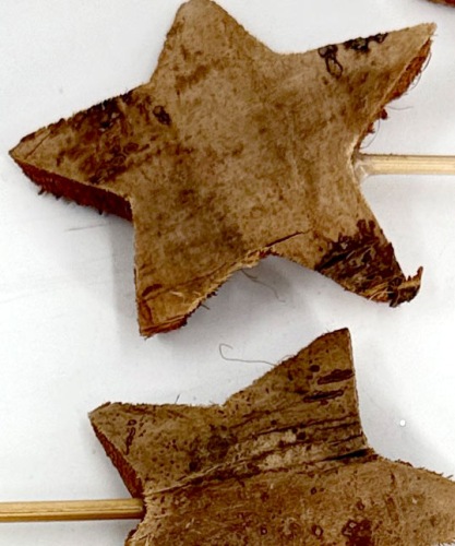 Coco Ster op Steel 5-7 cm 7 st. Naturel