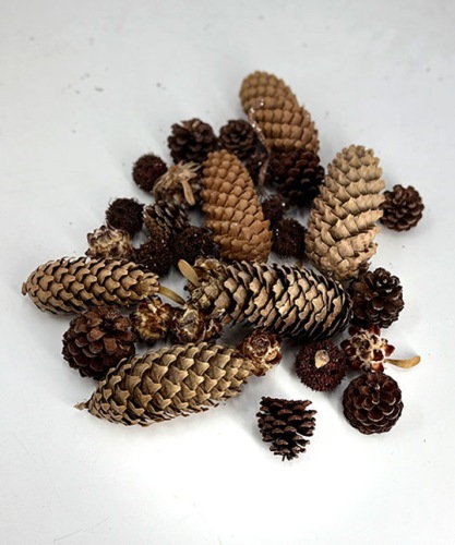 Dennenappels-mix-1-kg