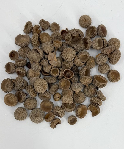 eikel-hoedjes-natuur-acorn-heads-natural-100gr-top-2