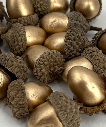 Eikels-in-dop-20st-goud