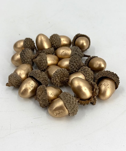 Eikels-in-dop-20st-goud