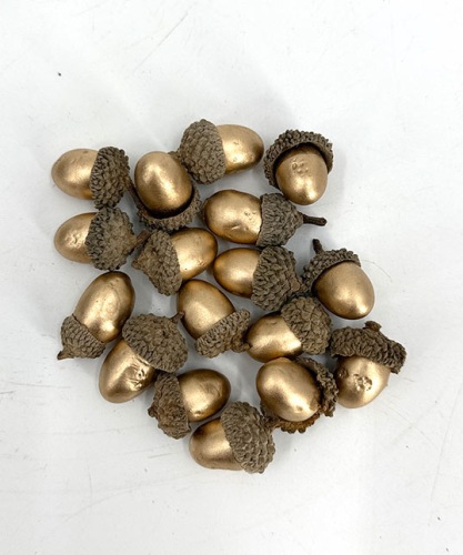 Eikels-in-dop-20st-goud