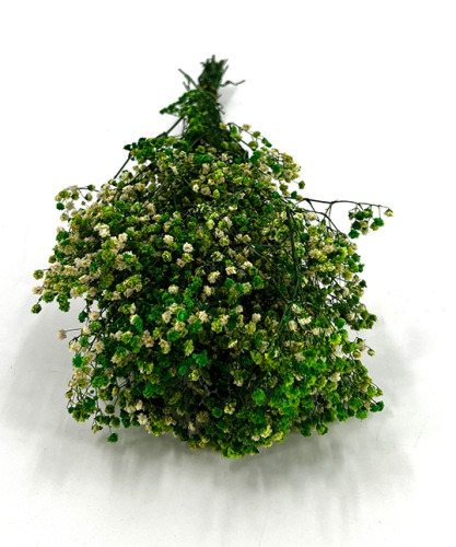 Gipskruid-Gypsophila-appel-groen-droogbloemen-bloemschikken