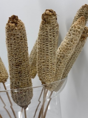 Kaarsenhouder Ster 'Jolly' Robijn