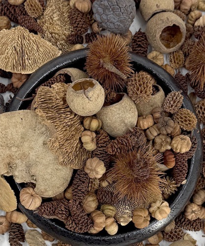 Exoten Mix 500 gr. Naturel