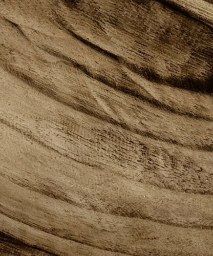 Paulownia Schaal Bladvorm 43 cm