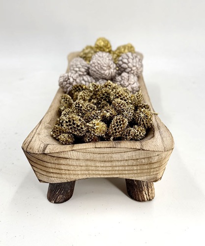 Paulownia Schaal Rechthoek 35 cm