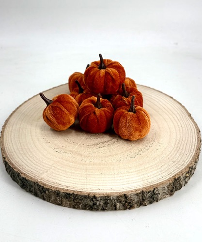 Pompoenen Fluweel 8 st.