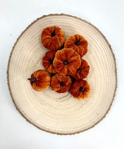 Pompoenen Fluweel 8 st.