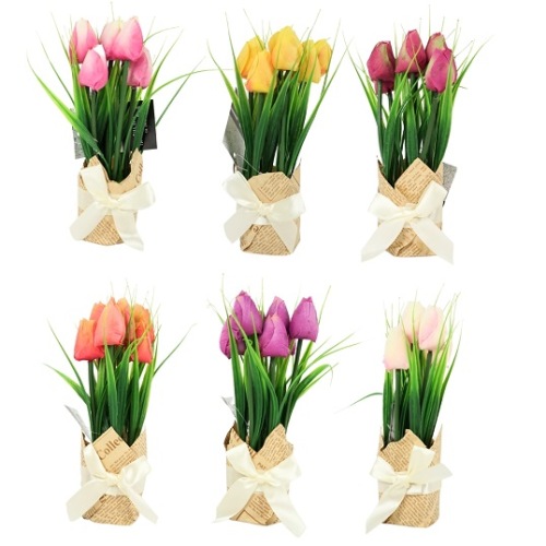 Tulpen In Cadeauverpakking Roze