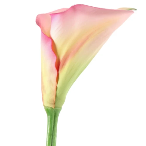 Kunstbloem Araceae Roze