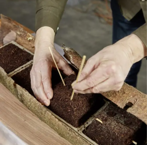 Terra Brick Floral Media 8st